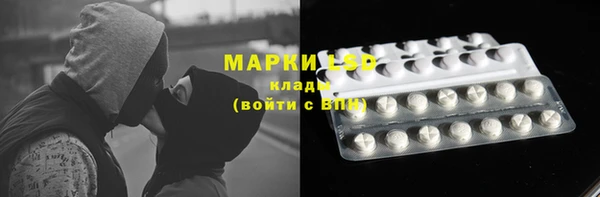 гидропоника Няндома