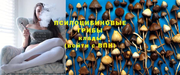 гидропоника Няндома