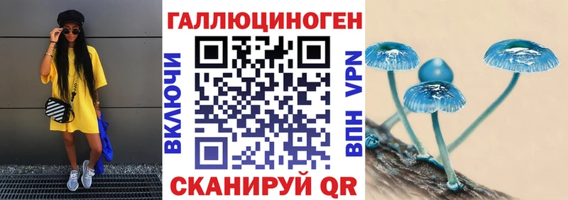 Купить закладки  Юрьев-Польский  Галлюциногенные грибы прущие грибы 